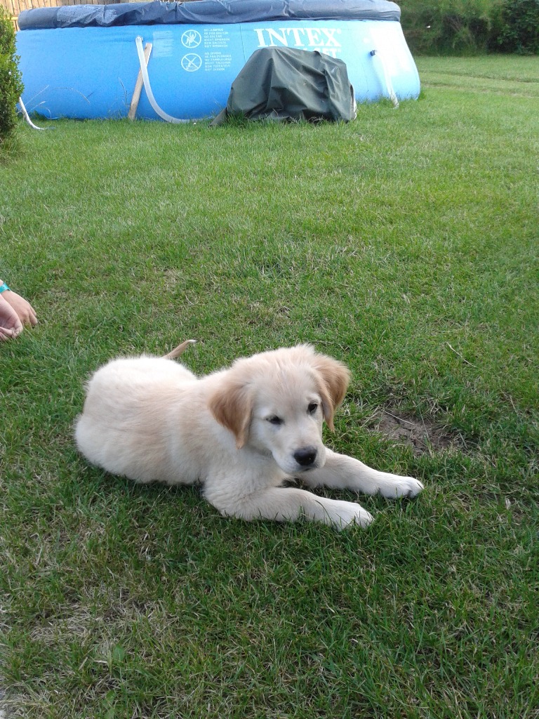 01a_marley300613_3.jpg