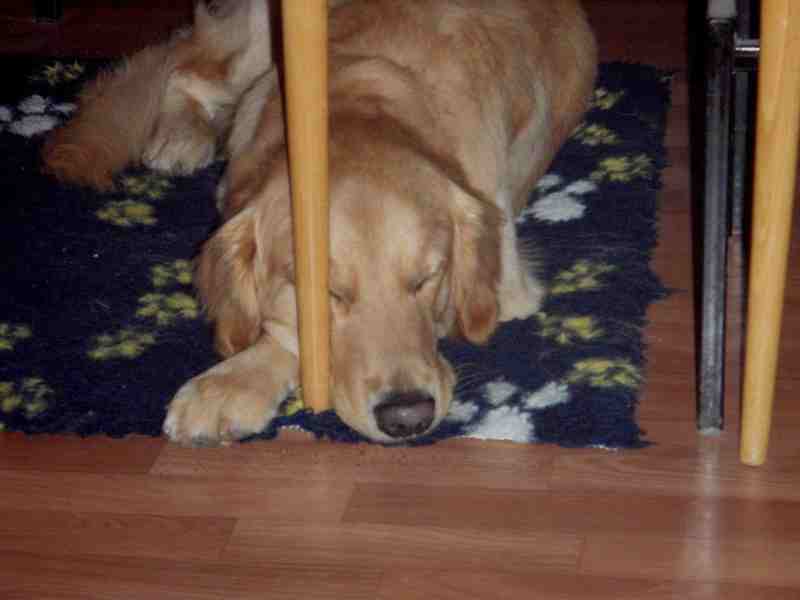 buddy26.JPG